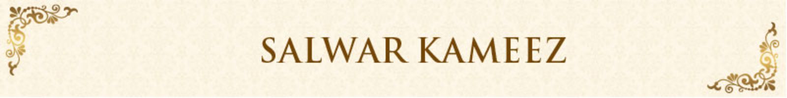 Salwar Kameez static_banner 3663