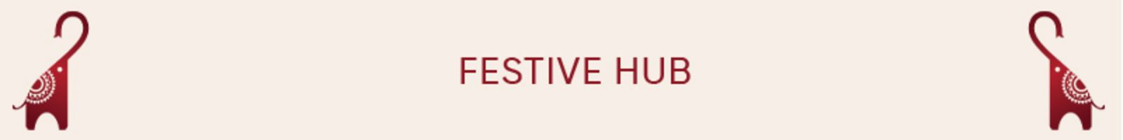 FESTIVE HUB static_banner 4735