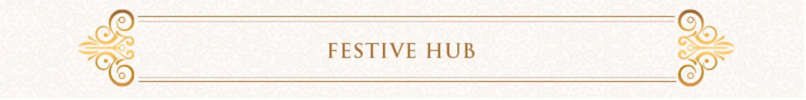 FESTIVE HUB static_banner 4735
