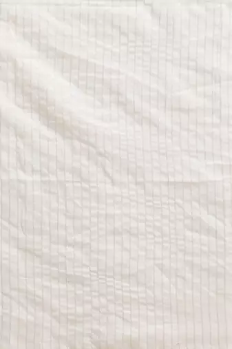Handloom Pure Cotton, with golden stripes