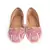 Embroidery Blush Pink Ballerina