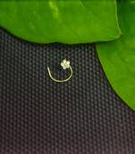 Designer Gold Plated Multi diamond nosering or nose pin