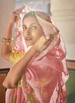Pink zari, mirror, and thread embroidered organza designer saree 2