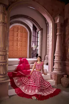 Rani-pink embroidered net  lehenga