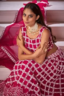 Rani-pink embroidered net  lehenga