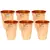 Prisha India Craft Pure Copper Glass Tumbler Luxury Design  Drinkware & Serveware   Capacity 350 ML   Set of 6