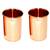 Prisha India Craft Pure Copper Glass Tumbler  Drinkware & Glassware Set  320 ML  Set of 2