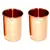 Prisha India Craft Pure Copper Glass Tumbler  Drinkware & Glassware Set  320 ML  Set of 2