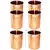 Prisha India Craft Hammered Design Copper Steel Glass Tumbler  Drinkware & Serveware Set  Capacity 250 ML  Set of 6
