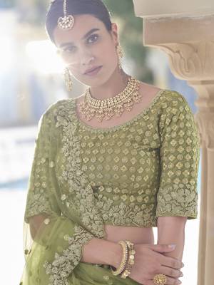 Olive embroidered net semi stitched lehenga 3