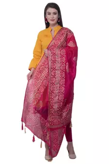 A R SILK Pahadi Print Rani Colour Silk Fancy Dupatta/Chunnis