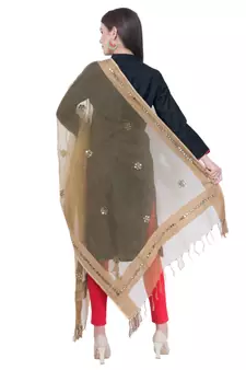 A R SILK Flower Mirror Golden Colour Organza Cotton Fancy Dupatta/Chunnis