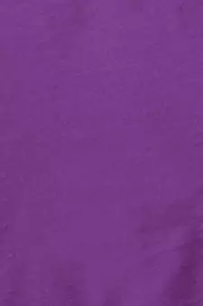 A R SILK Golden Border Purple Colour Cotton Regular Dupattas/Chunnis