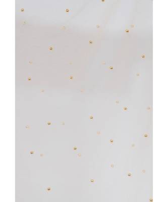 A R SILK Net Moti Beige Colour Net Fancy Dupatta/Chunnis 4
