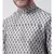 Dupion Silk Silver DEYANN Kurta with Patiala set