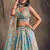 Stunning Sky Blue Organza Zari and Sequins Work Floral Wedding Lehenga Choli for Women