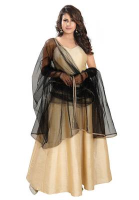 Salwar Studio Women's Black Net Self Design Dupatta 1