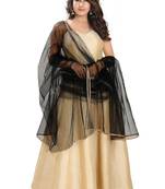 Salwar Studio Women's Black Net Self Design Dupatta