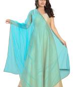 Salwar Studio Women's Sky Blue Net Self Design Dupatta