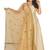 Salwar Studio Women's Gold Net Self Design Dupatta