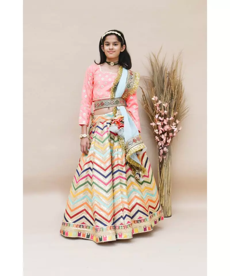 Pink Choli with Embroidery Lehenga