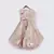 Peach Sequins Choli and Lehenga Set