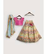 Hot Pink Choli with Embroidery Lehenga and Organza Dupatta