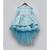 Blue Flowers Embroidery High Low Dress