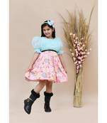 Blue Organza and Pink Printed Dress