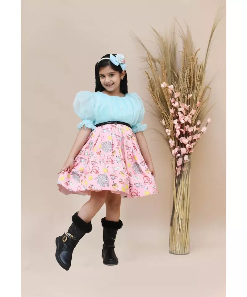 Blue Organza and Pink Printed Dress