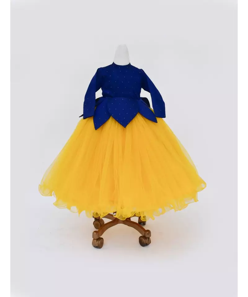 Blue and Yellow Net Gown