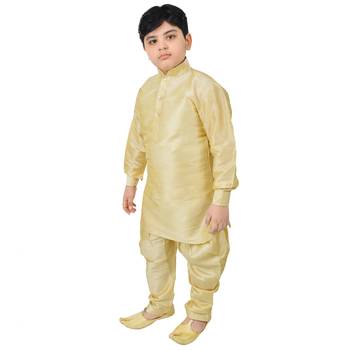 Beige Silk Printed Boys Kurta Pyjama 3