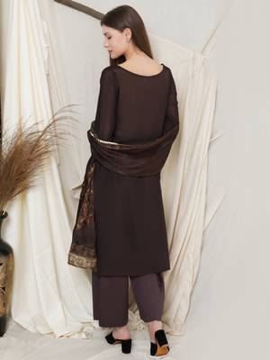 Brown embroidered chiffon salwar 3