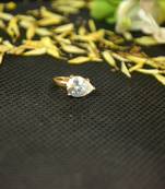 Designer Gold diamond Clipon nosering or Clip nosepin