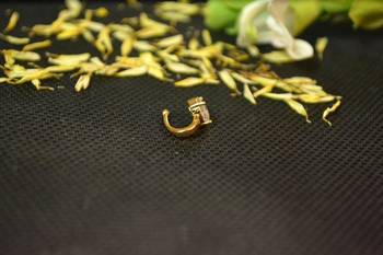 Designer Gold diamond Clipon nosering or Clip nosepin 2