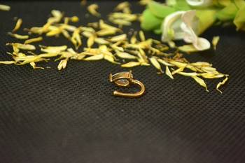 Designer Gold diamond Clipon nosering or Clip nosepin 3