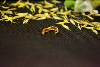Designer Gold diamond nosering or nosepin 3