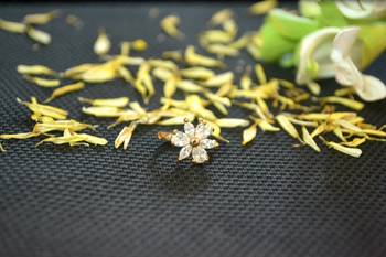 Designer Gold diamond Clipon nosering or Clip nosepin 1