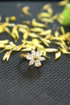 Designer Gold diamond Clipon nosering or Clip nosepin