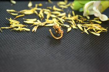Designer Gold diamond Clipon nosering or Clip nosepin 2