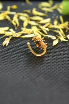 Designer Gold diamond Clipon nosering or Clip nosepin