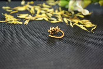 Designer Gold diamond Clipon nosering or Clip nosepin 2