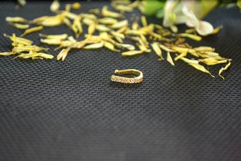 Designer Gold diamond Clipon nosering or Clip nosepin 1