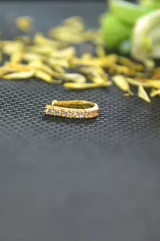 Designer Gold diamond Clipon nosering or Clip nosepin
