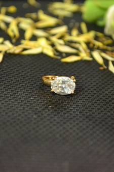 Designer Gold diamond Clipon nosering or Clip nosepin