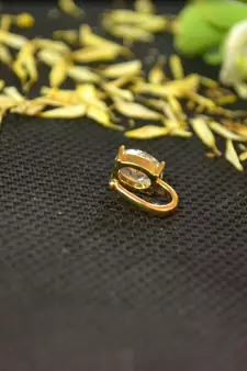 Designer Gold diamond Clipon nosering or Clip nosepin
