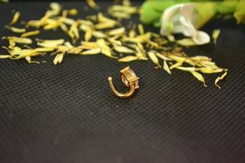 Designer Gold diamond Clipon nosering or Clip nosepin 5