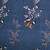 MNP Collection Fitted Single Bedsheet Grey Butterfly Floral Print bedsheet kidz