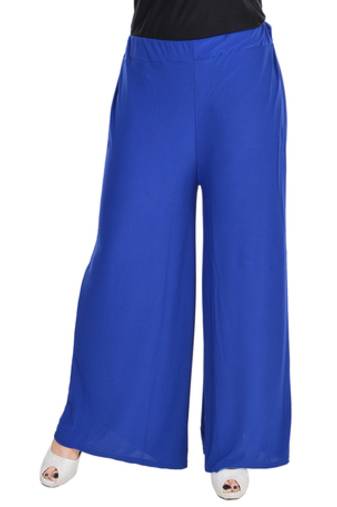 Blue Chiffon Solid Palazzo