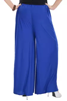 Blue Chiffon Solid Palazzo